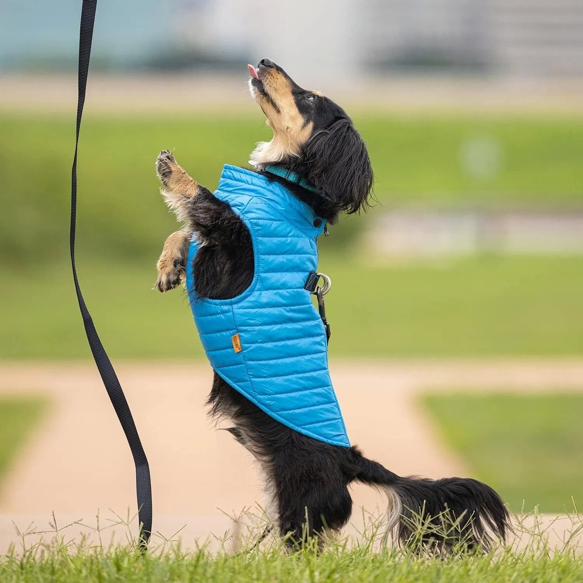 Ultra Lightweight Water Resistant Dog Puffer Vest with Dual D-Ring Leash Attachment for Winter