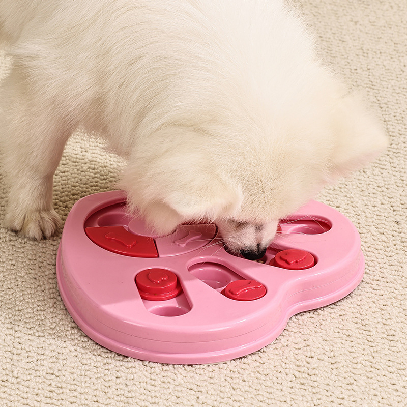 Plastic Material Pet Puzzle Toy with 270g Net Weight and OEM Available Interactive Feeder