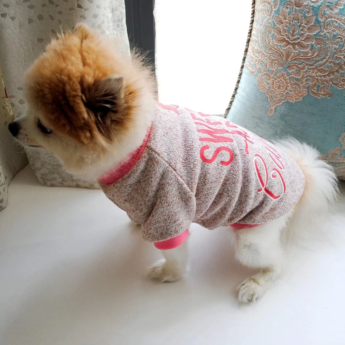 Winter Dog Fleece Sweater Warm Puppy Sweatshirt with Customized Sizes and Colors