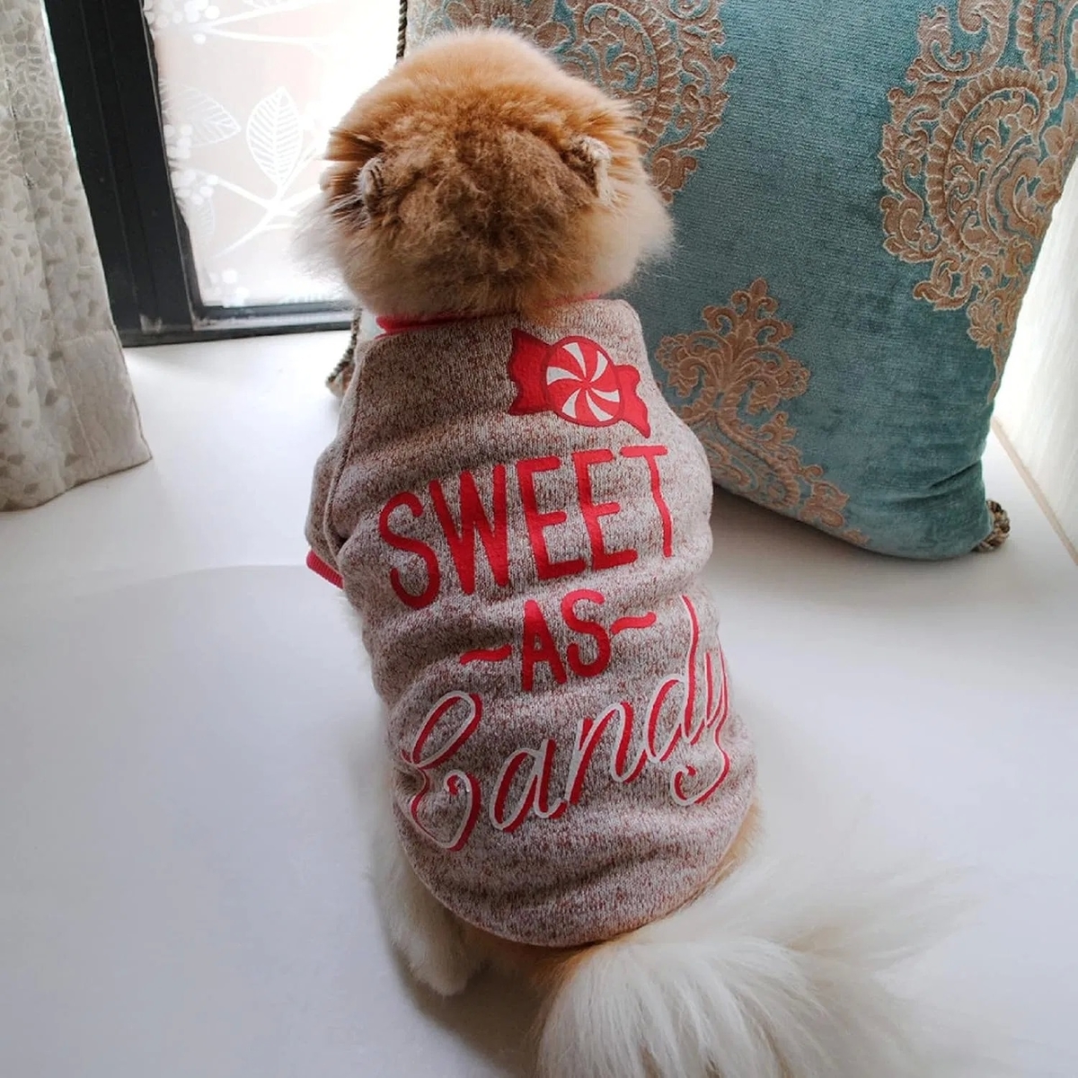 Winter Dog Fleece Sweater Warm Puppy Sweatshirt with Customized Sizes and Colors