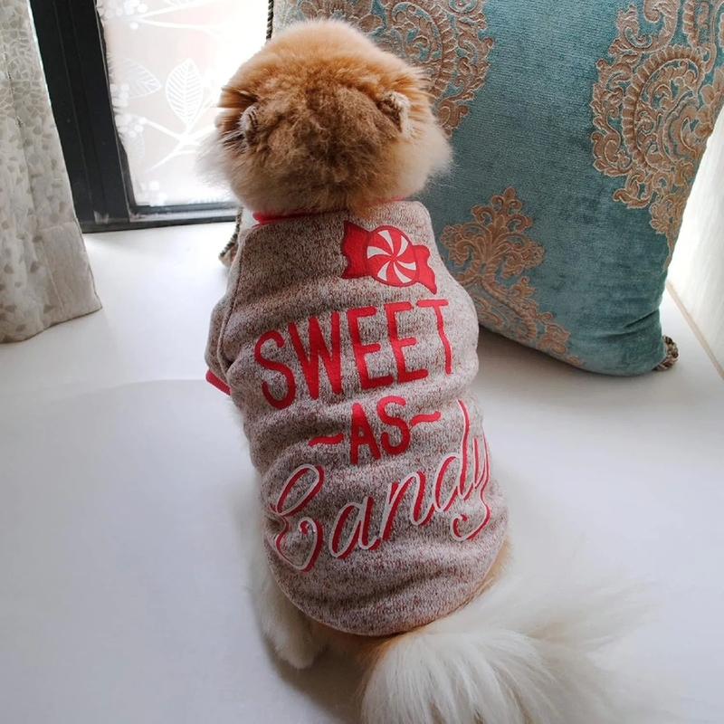 Winter Dog Fleece Sweater Warm Puppy Sweatshirt with Customized Sizes and Colors