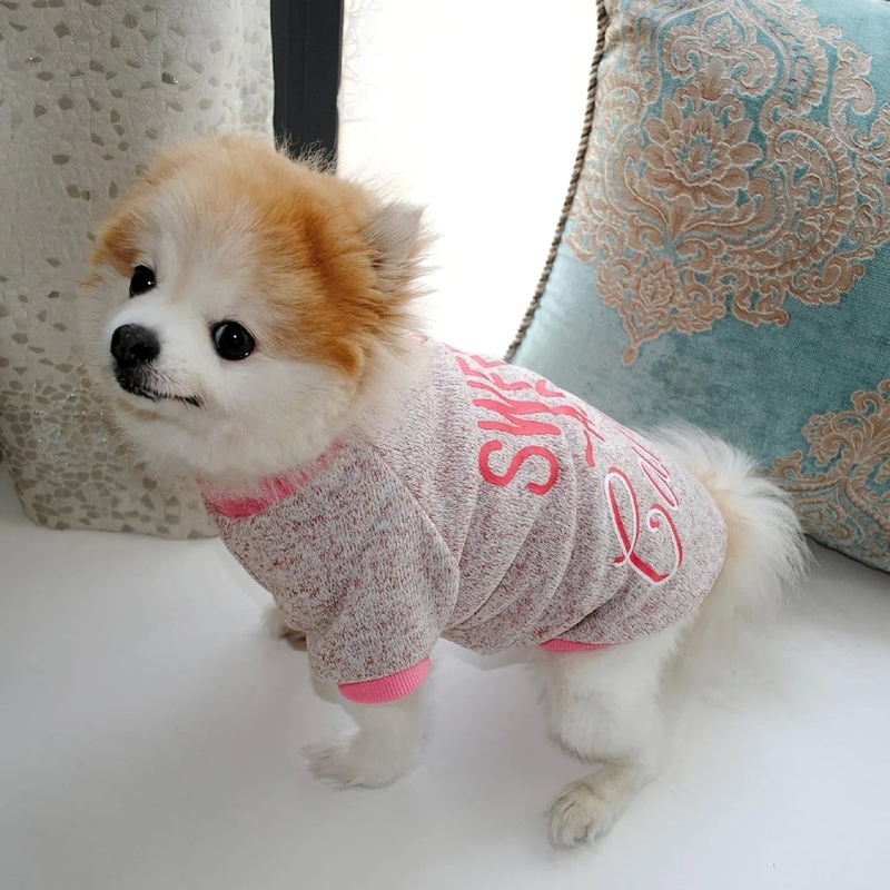 Winter Dog Fleece Sweater Warm Puppy Sweatshirt with Customized Sizes and Colors
