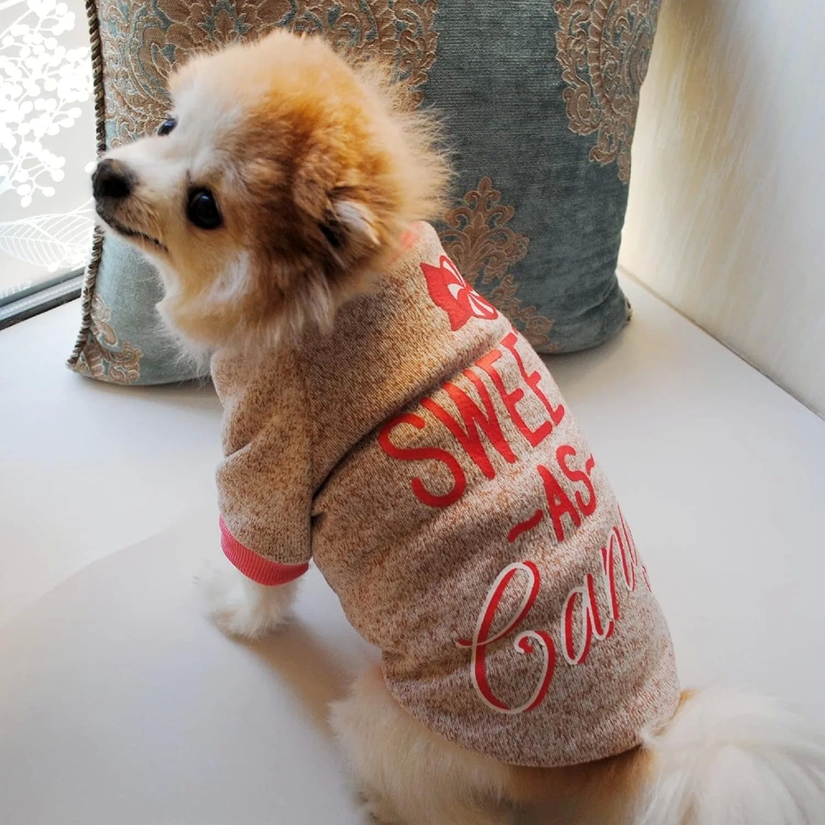 Winter Dog Fleece Sweater Warm Puppy Sweatshirt with Customized Sizes and Colors