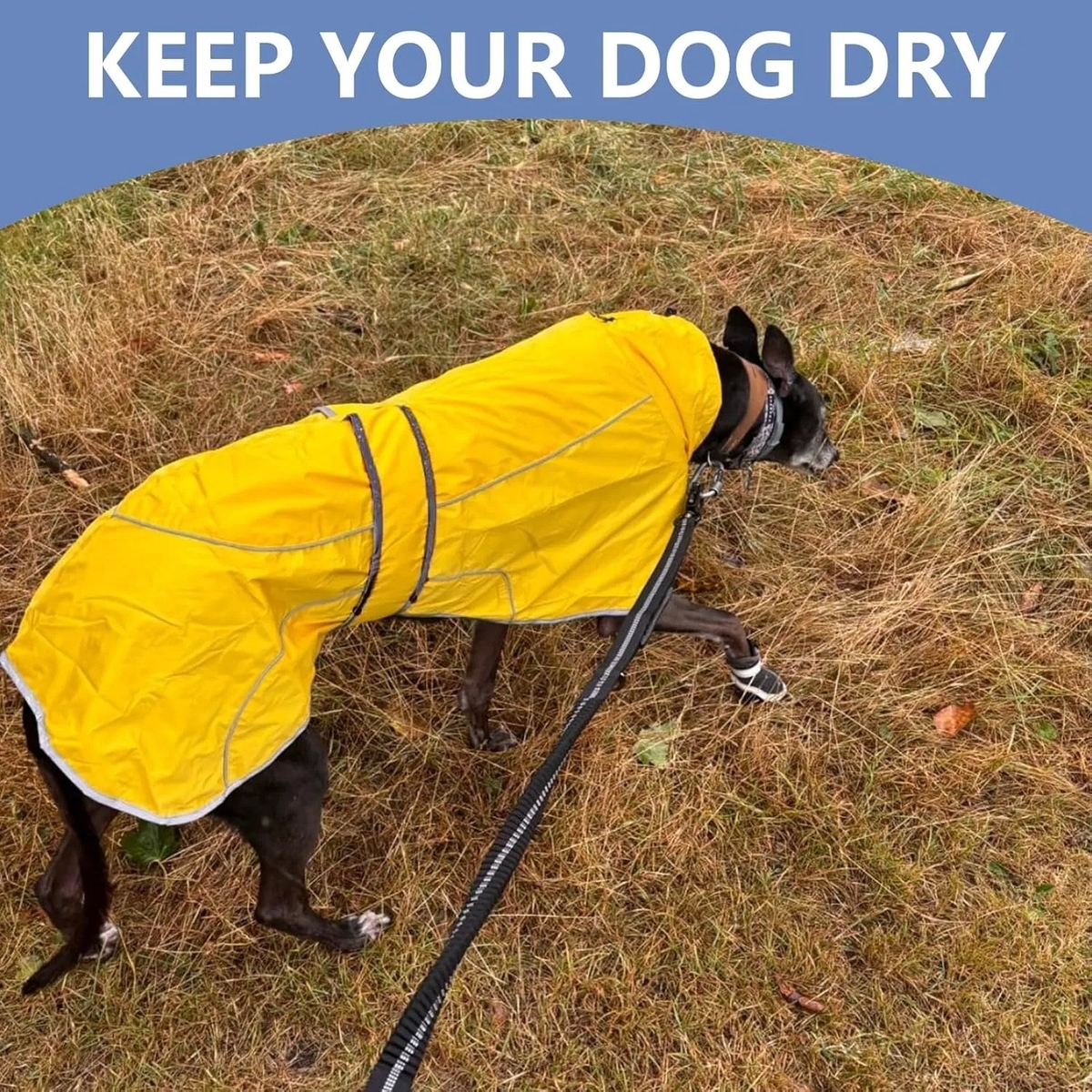 Velvet Inside Adjustable Lightweight Dog Jacket for Greyhounds and Similar Breeds