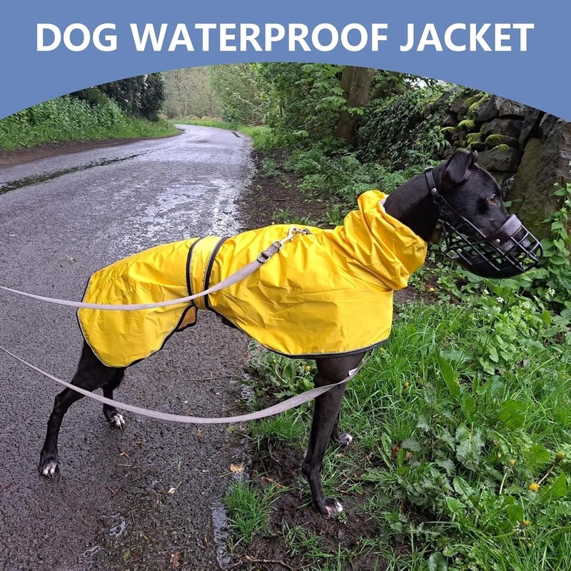 Velvet Inside Adjustable Lightweight Dog Jacket for Greyhounds and Similar Breeds