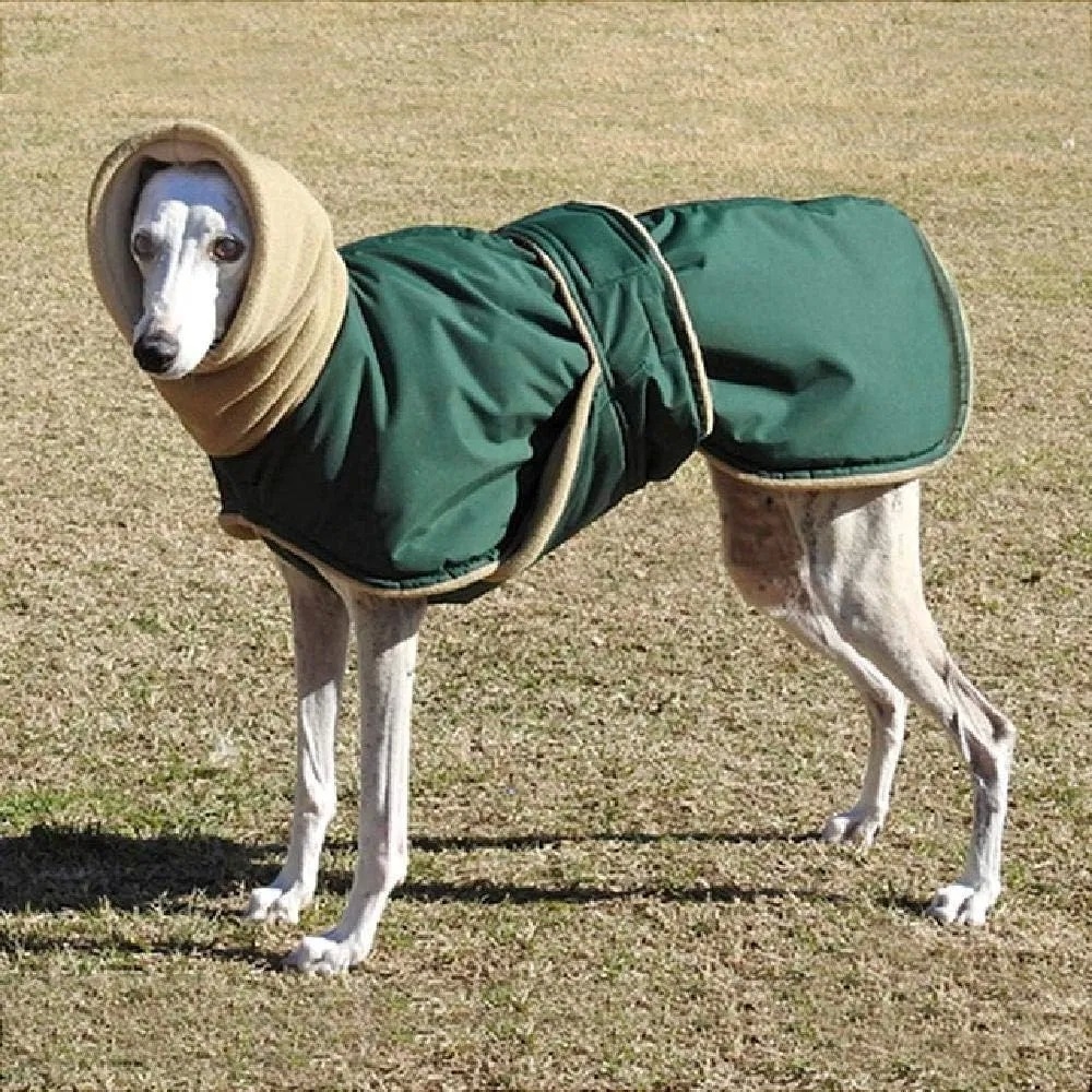 Winter Warm Waterproof Dog Jacket with Thickened Warmth and Adjustable Waist Strap for Outdoor Comfort
