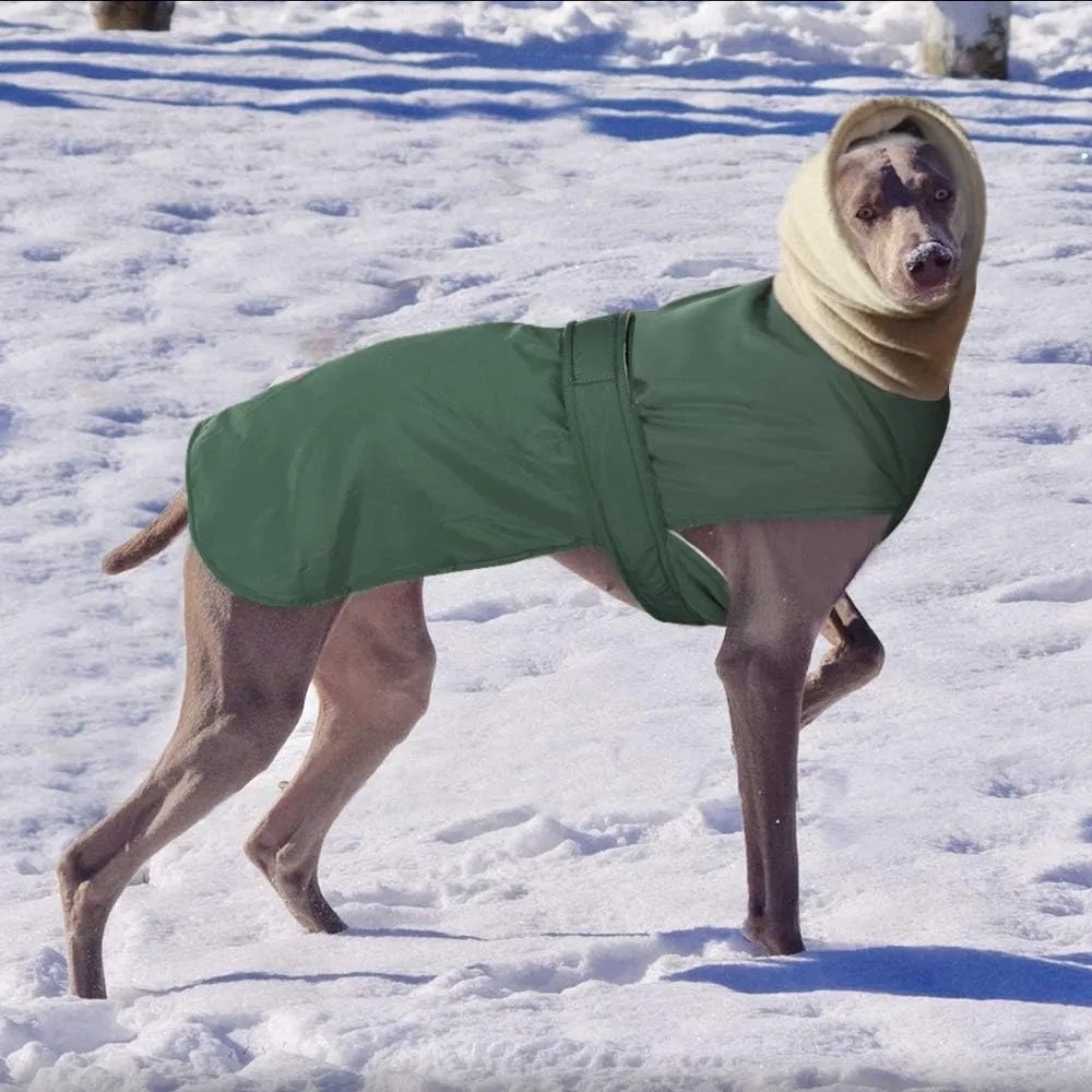 Winter Warm Waterproof Dog Jacket with Thickened Warmth and Adjustable Waist Strap for Outdoor Comfort