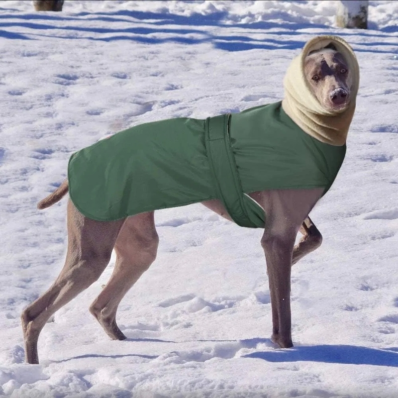 Winter Warm Waterproof Dog Jacket with Thickened Warmth and Adjustable Waist Strap for Outdoor Comfort