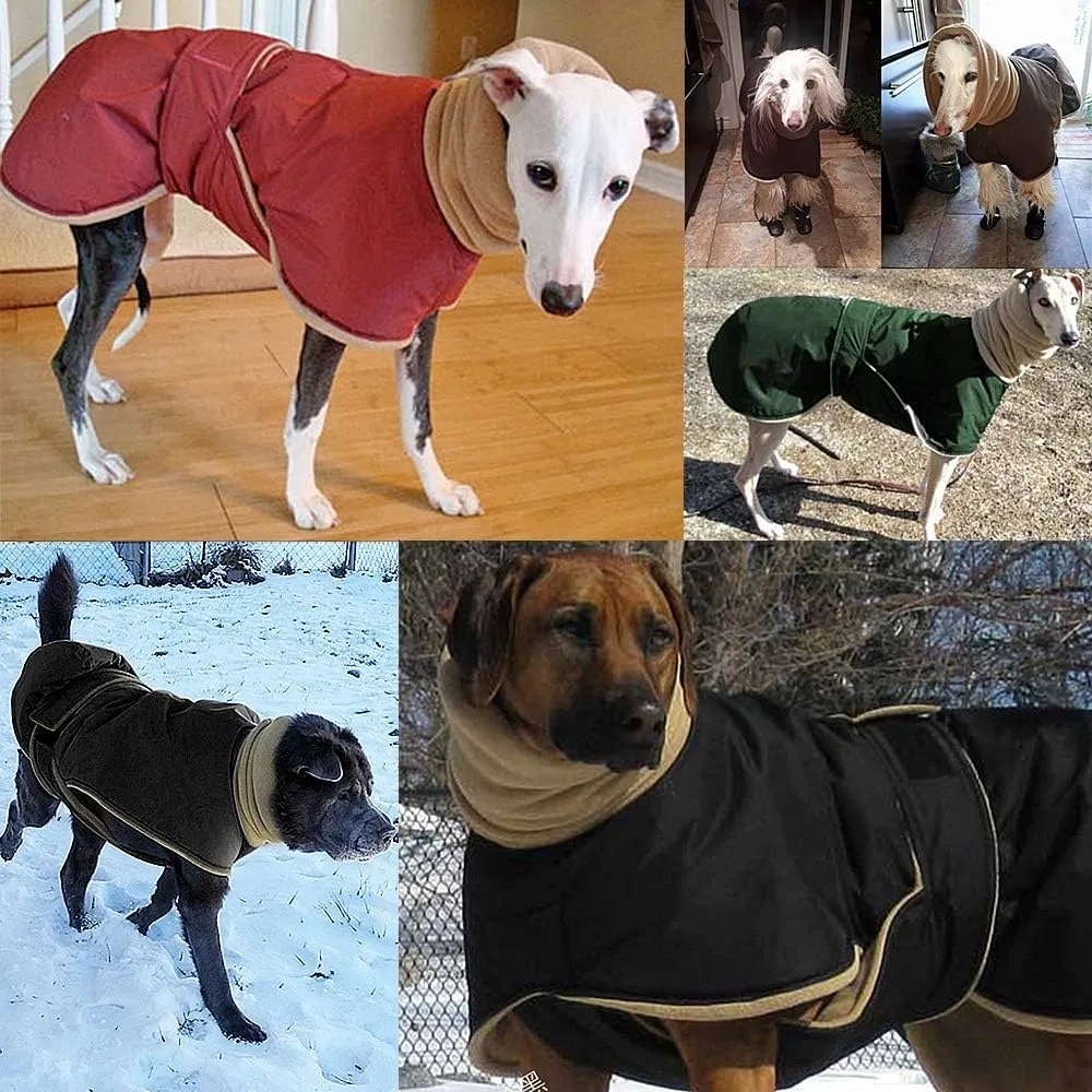 Winter Warm Waterproof Dog Jacket with Thickened Warmth and Adjustable Waist Strap for Outdoor Comfort