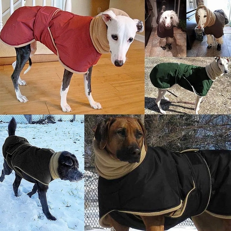 Winter Warm Waterproof Dog Jacket with Thickened Warmth and Adjustable Waist Strap for Outdoor Comfort