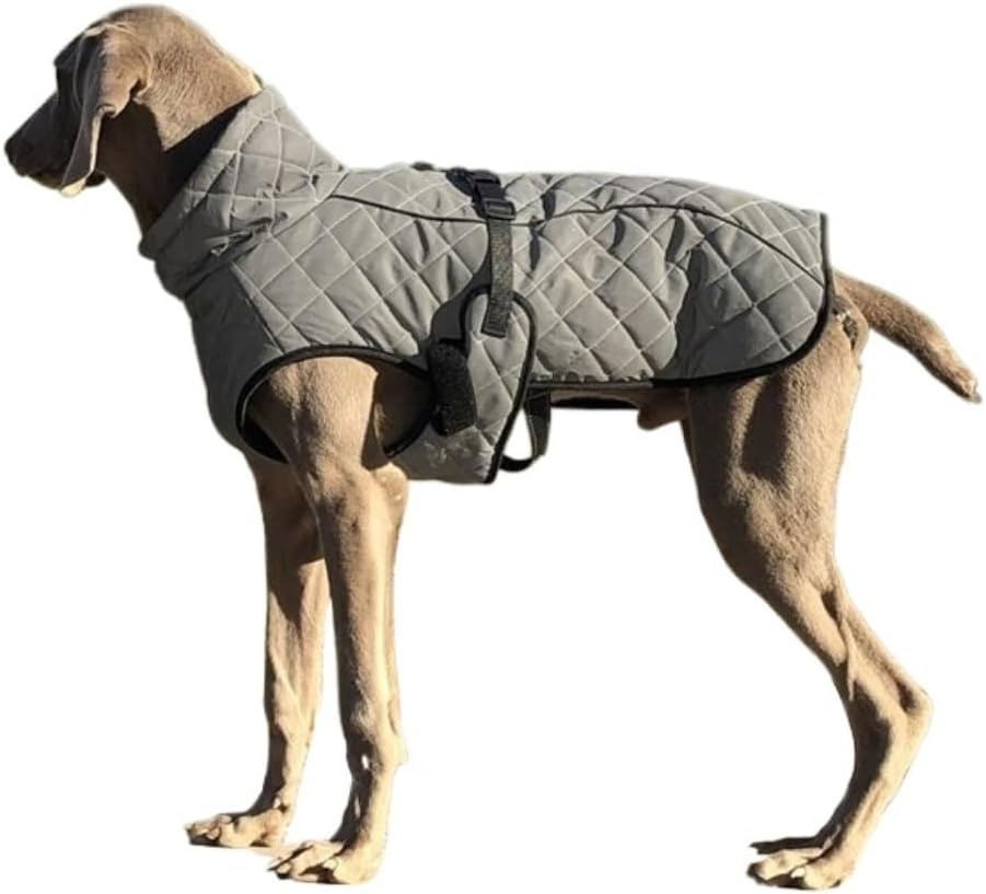 Winter Waterproof Reflective Warm Dog Jacket Pet Coat for Big Dogs