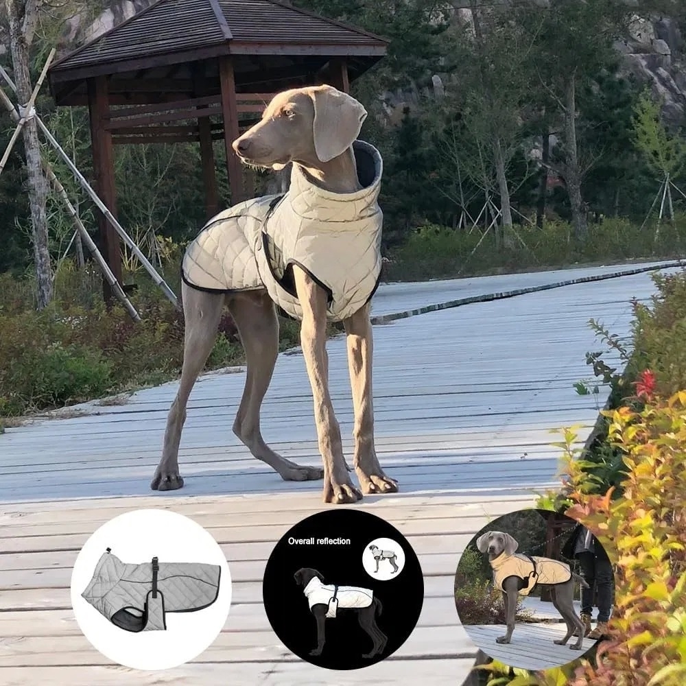 Winter Waterproof Reflective Warm Dog Jacket Pet Coat for Big Dogs