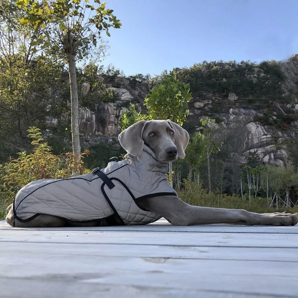 Winter Waterproof Reflective Warm Dog Jacket Pet Coat for Big Dogs