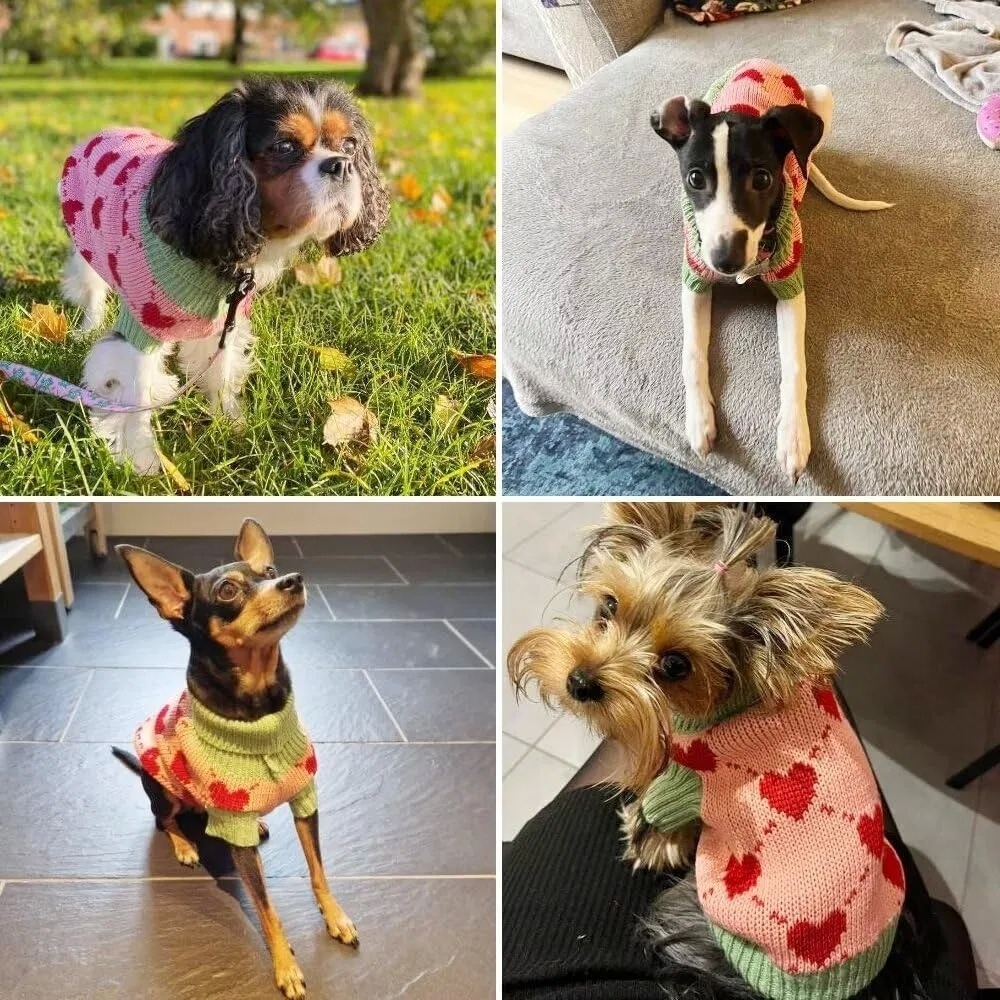 Warm High Neck Dog Sweater in Soft Cotton Material with Multiple Sizes for Small to Large Dogs