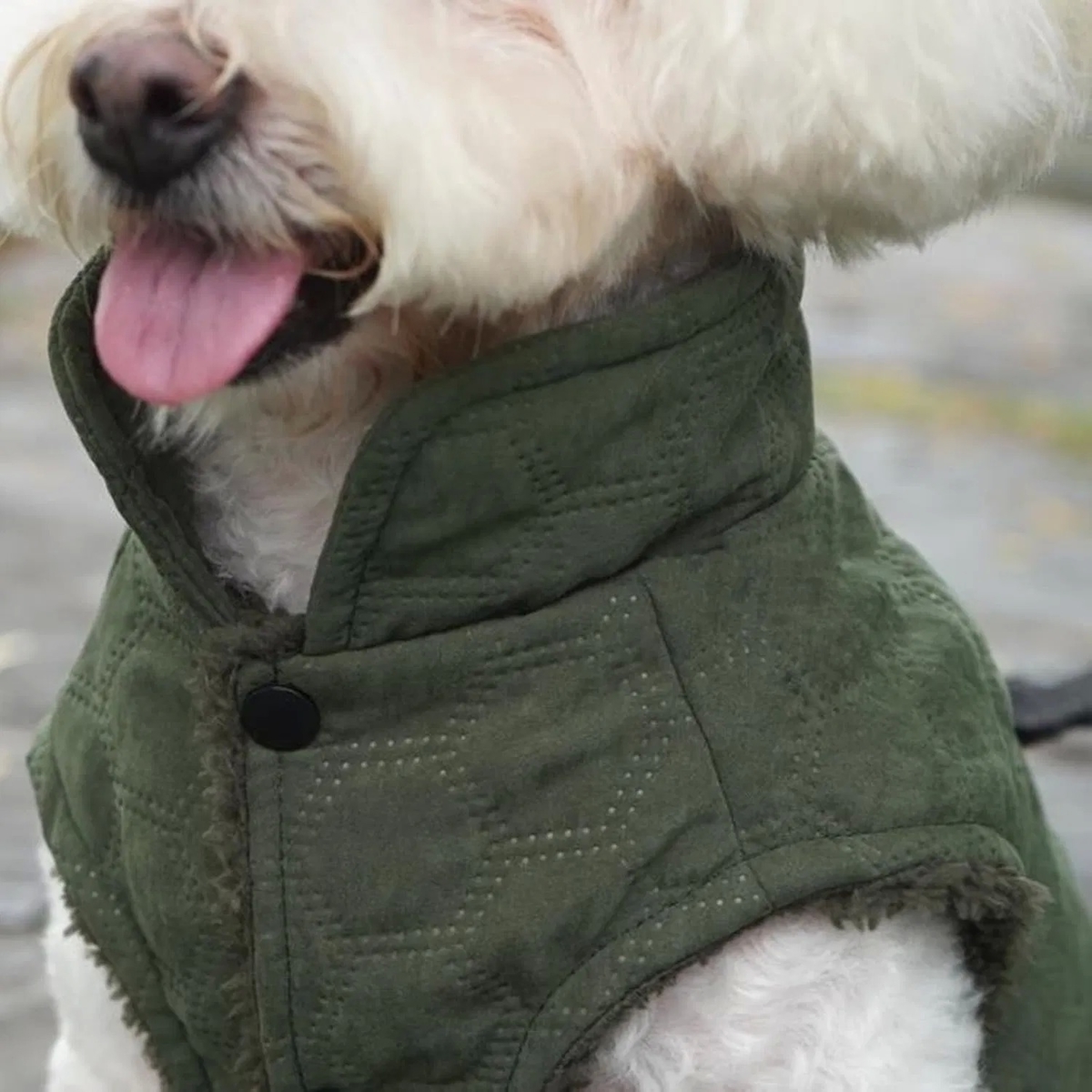 Windproof Waterproof Dog Winter Coat with Warm Fleece Lining for Puppies and Dogs