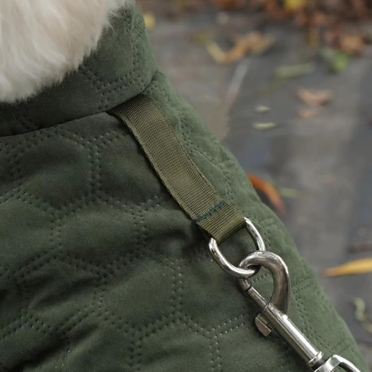 Windproof Waterproof Dog Winter Coat with Warm Fleece Lining for Puppies and Dogs
