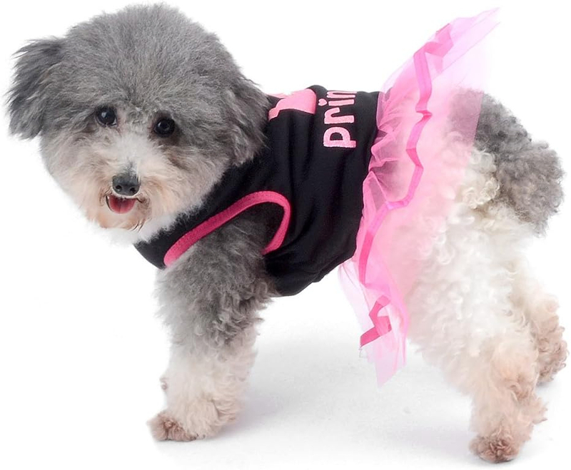 Small Dog Pet Skirt with Plaid Style and Polyester Fabric for Winter Season Chihuahua Clothes