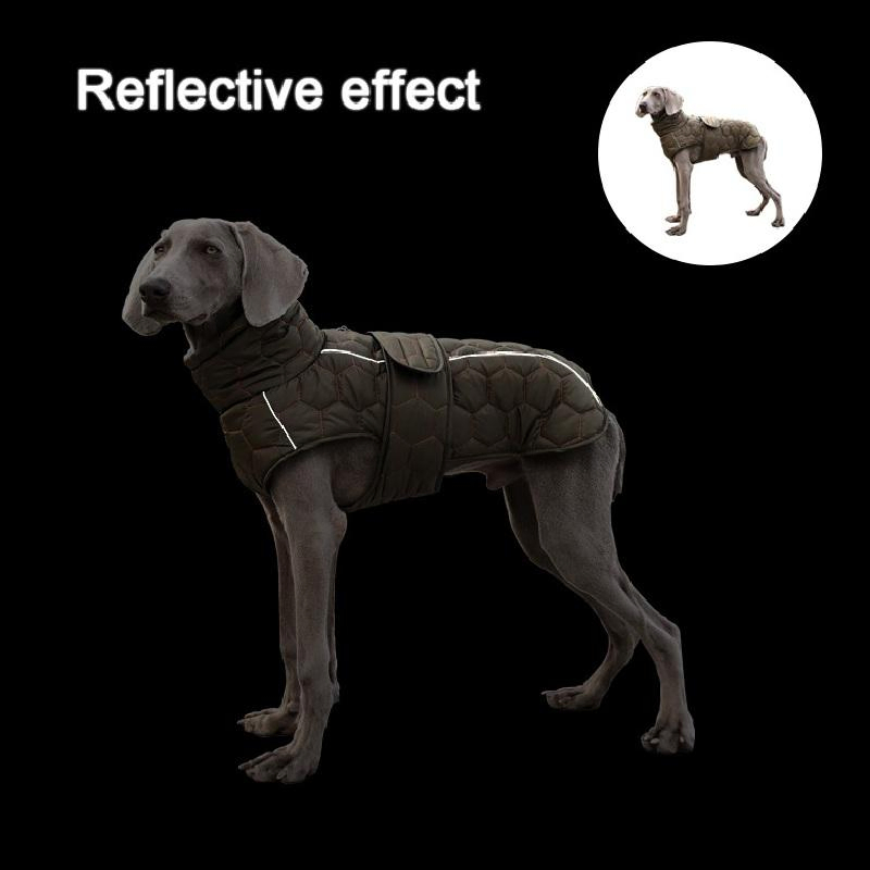 Cold Weather Protection Dog Coat with Additional Layers and Waterproof Design for Winter Warmth