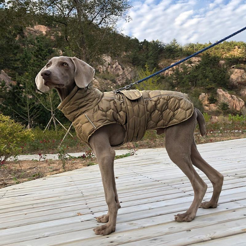 Cold Weather Protection Dog Coat with Additional Layers and Waterproof Design for Winter Warmth