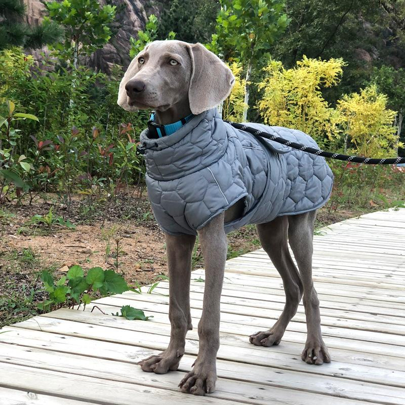Cold Weather Protection Dog Coat with Additional Layers and Waterproof Design for Winter Warmth